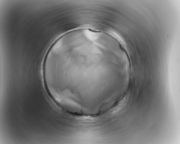 X0000088750907200706212112