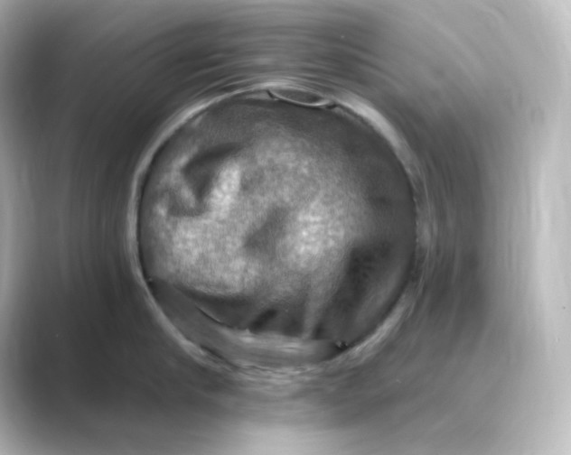 X0000088750910200706212112