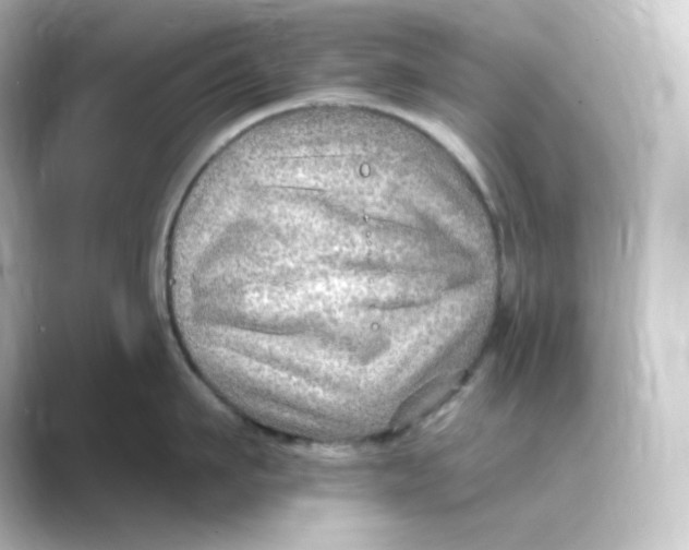 X0000088750911200706212112