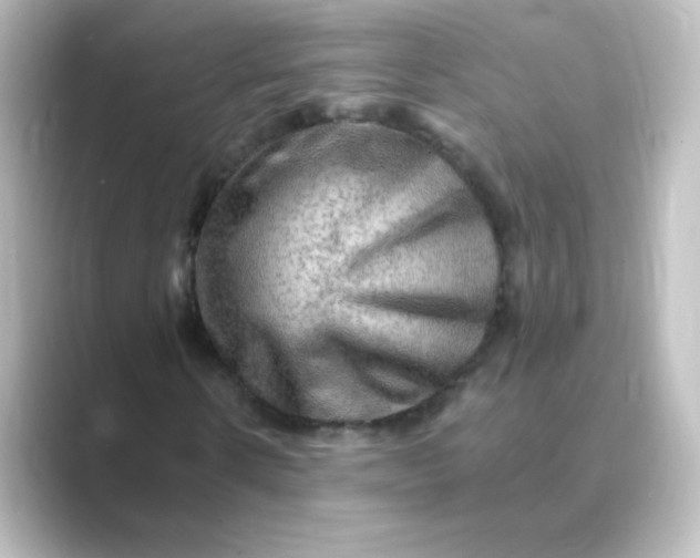 X0000088750914200706212112