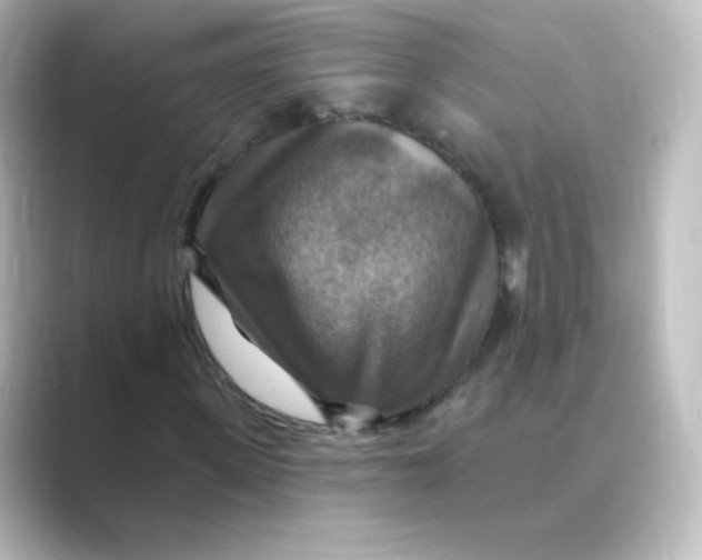 X0000088750915200706212112