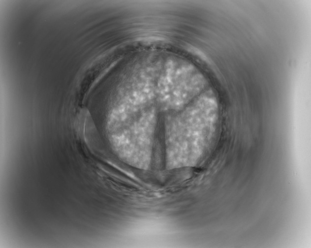 X0000088750919200706212112