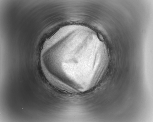 X0000088750920200706212112