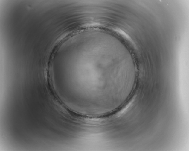 X0000088750921200706212112