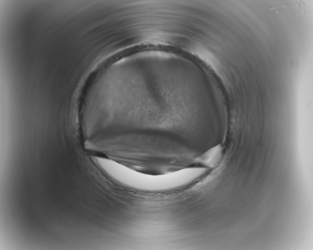 X0000088750923200706212112