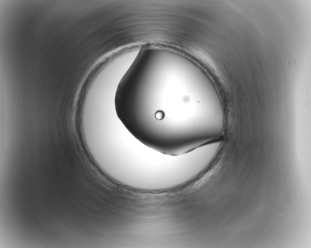 X0000088750924200706212112