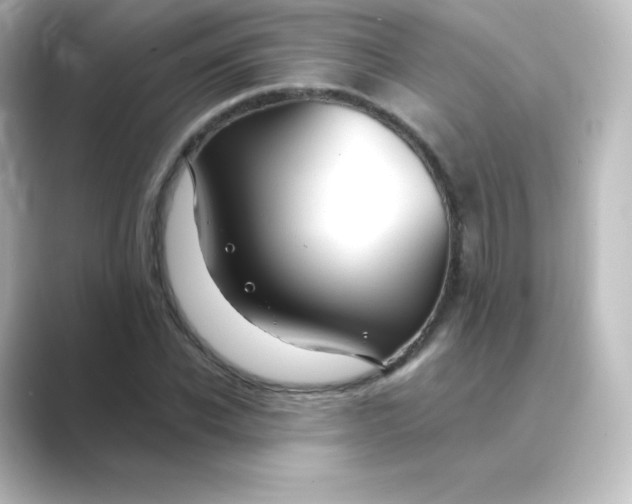 X0000088750926200706212112