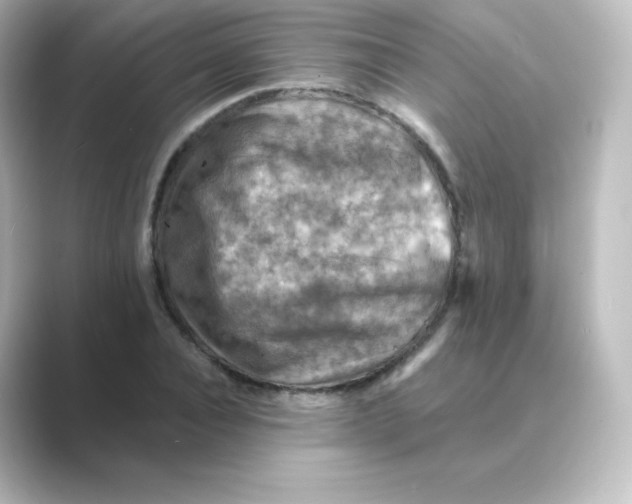 X0000088750928200706212112