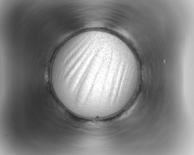 X0000088750929200706212112