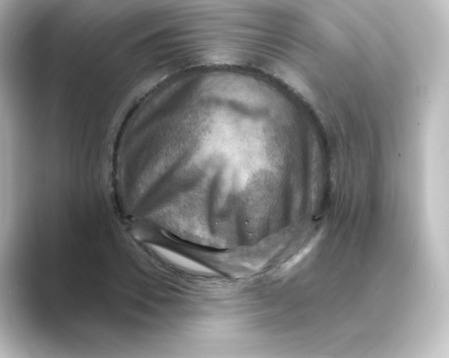 X0000088750930200706212112