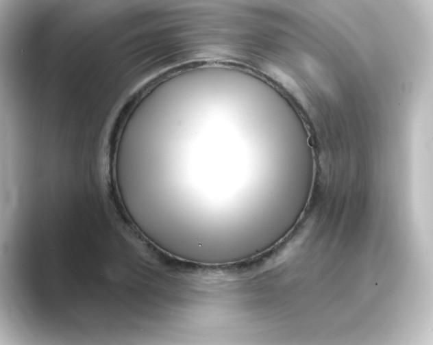 X0000088750931200706212112