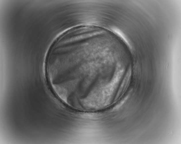 X0000088750932200706212112