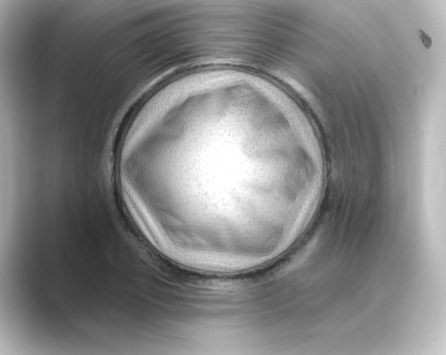 X0000088750933200706212112