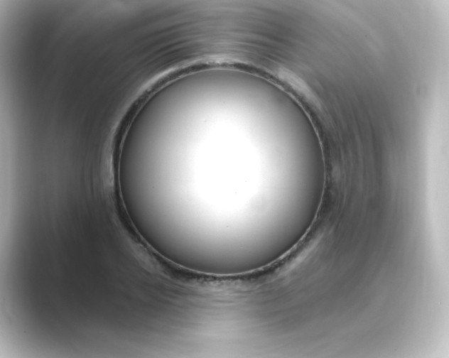 X0000088750934200706212112