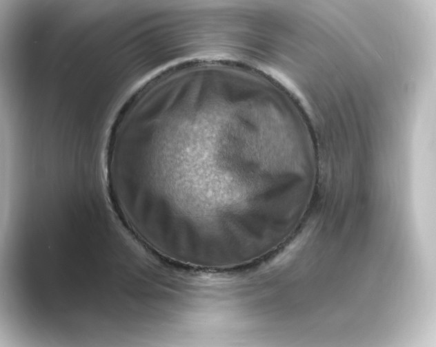 X0000088750935200706212112