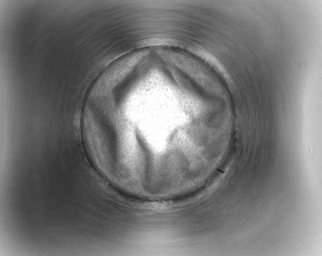 X0000088750937200706212112