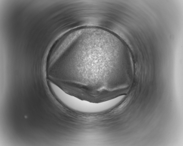 X0000088750939200706212112