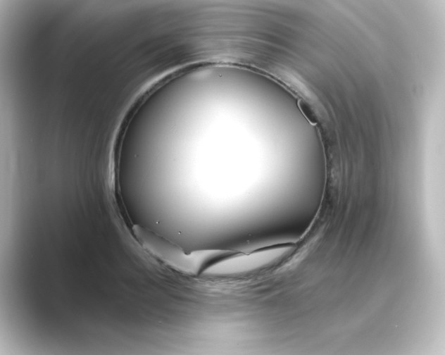 X0000088750940200706212112