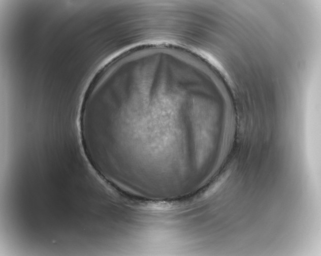 X0000088750943200706212112