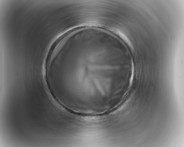 X0000088750944200706212112