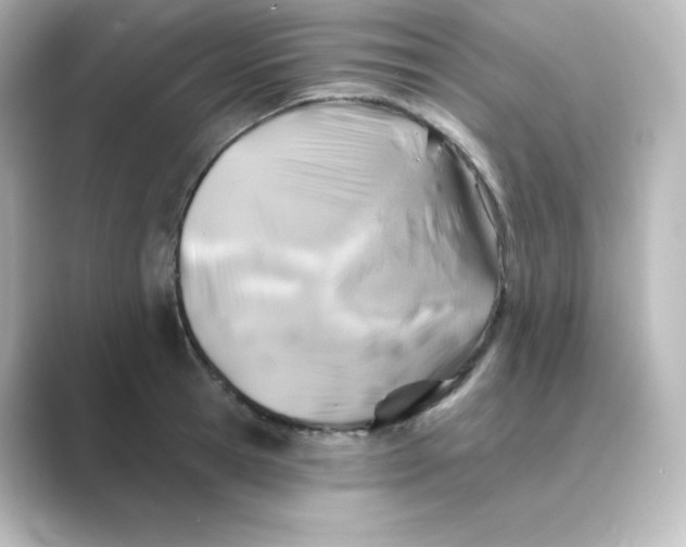 X0000088750945200706212112