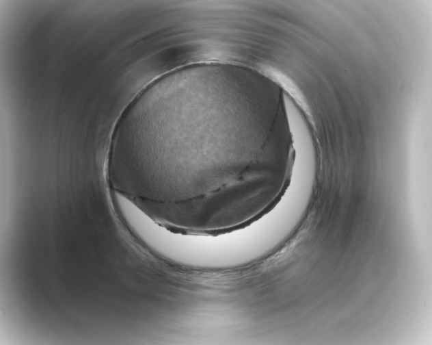 X0000088750946200706212112