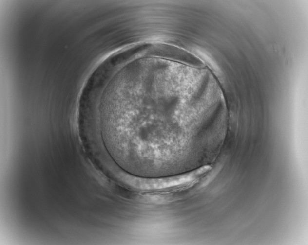 X0000088750948200706212112