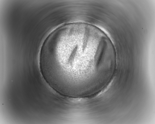 X0000088750949200706212112