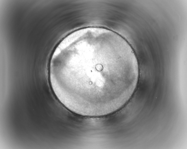 X0000088750950200706212112