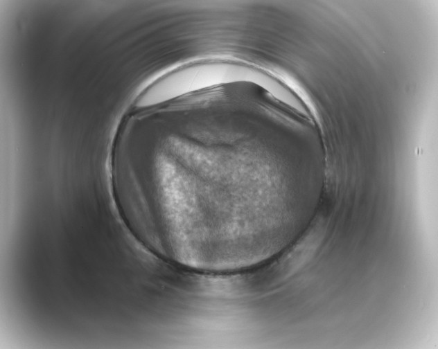 X0000088750951200706212112