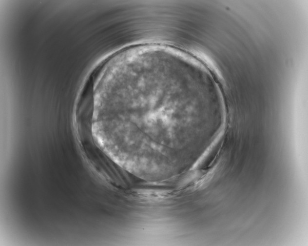 X0000088750952200706212112