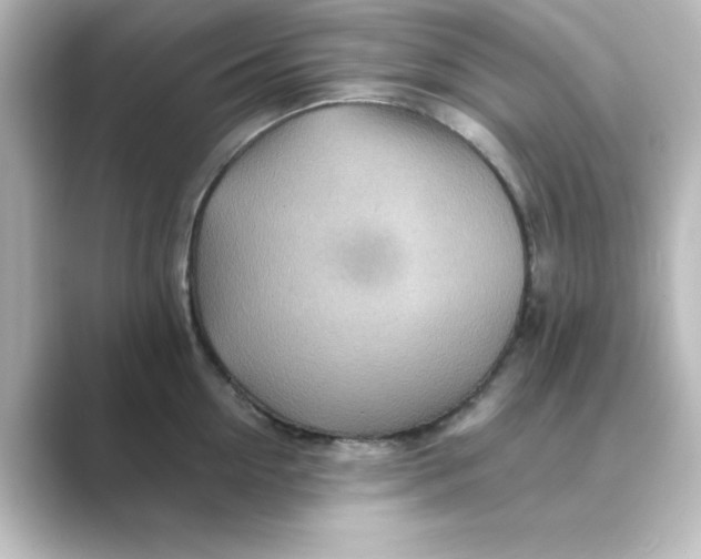 X0000088750954200706212112