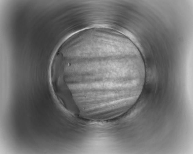 X0000088750955200706212112