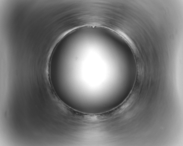 X0000088750956200706212112