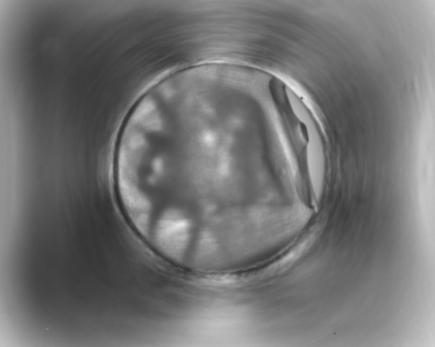 X0000088750957200706212112