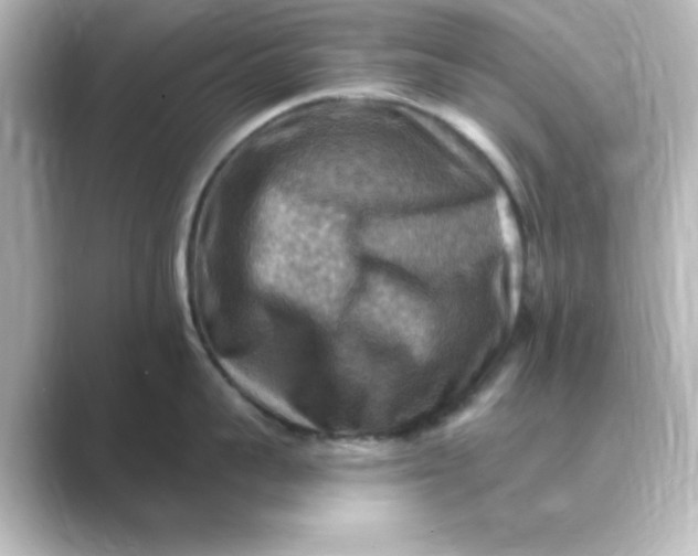 X0000088750959200706212112