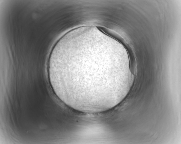 X0000088750960200706212112