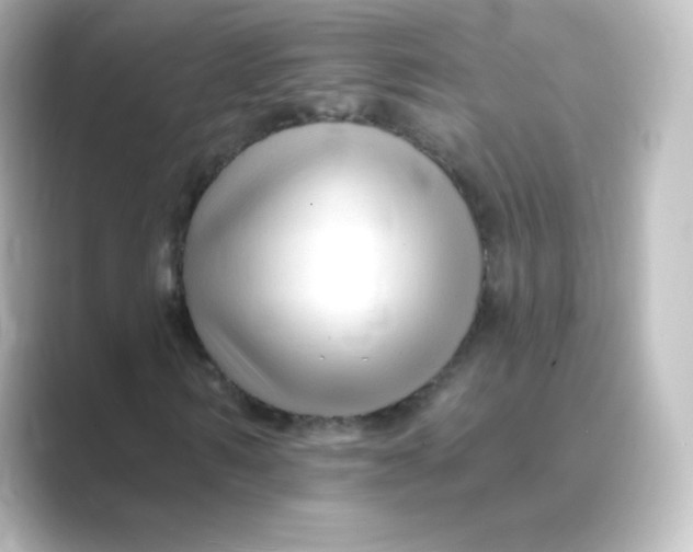 X0000088750962200706212112