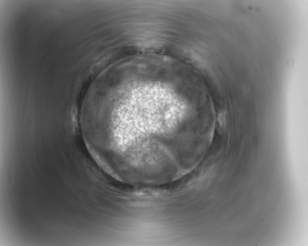 X0000088750963200706212112