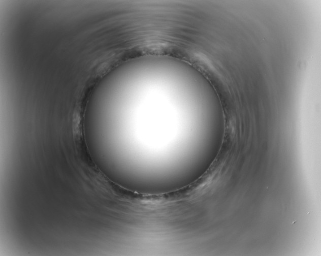 X0000088750964200706212112