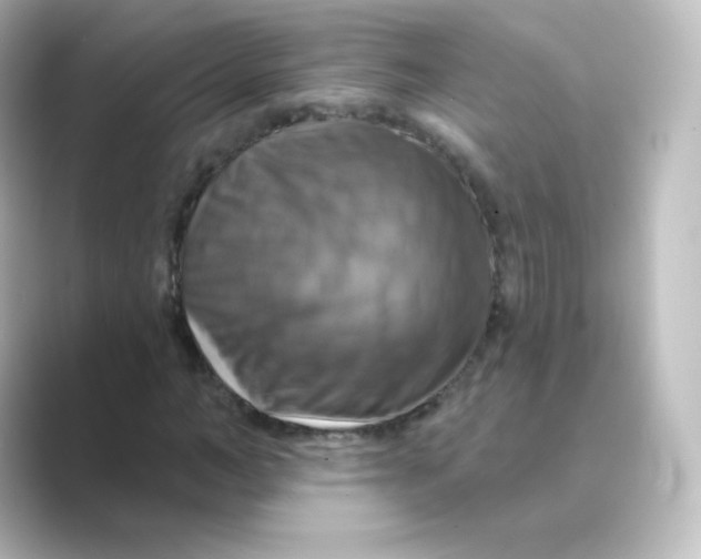 X0000088750966200706212112