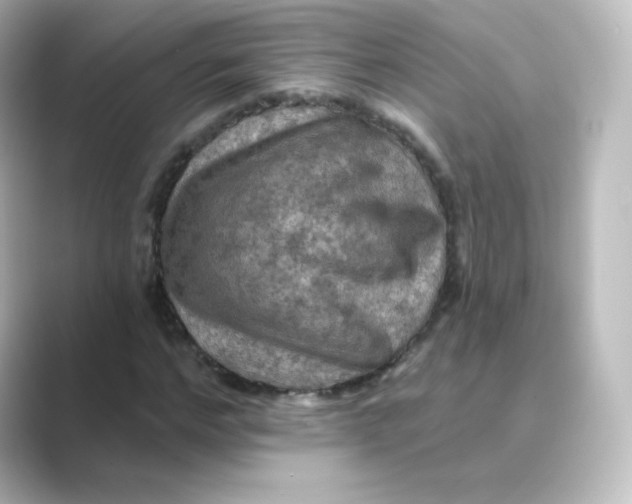 X0000088750968200706212112