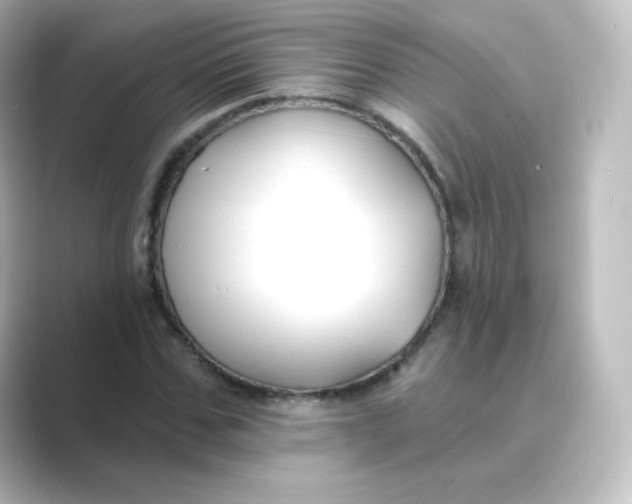 X0000088750971200706212112