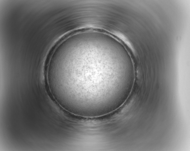 X0000088750972200706212112