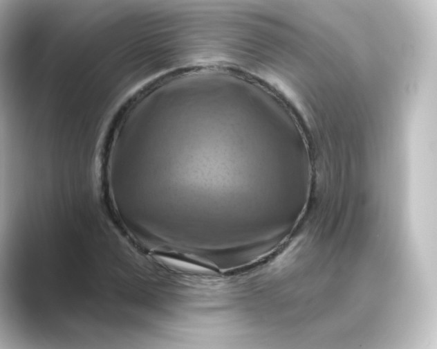 X0000088750975200706212112