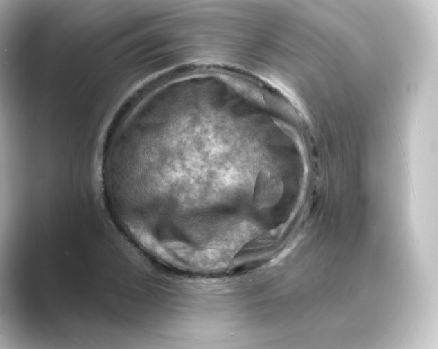 X0000088750976200706212112