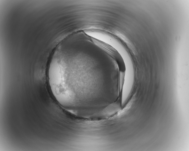 X0000088750977200706212112