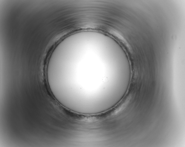 X0000088750978200706212112