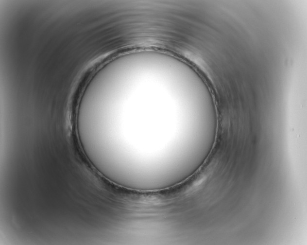 X0000088750979200706212111