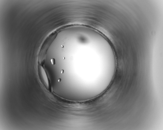 X0000088750980200706212111